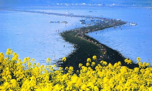Jindo Sea parting Festival (진도 신비의 바닷길축제)